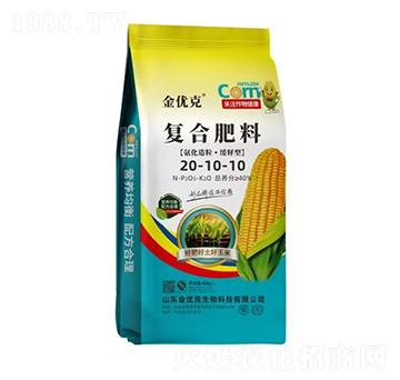 ��������������͏�(f��)�Ϸ���20-10-10-����(y��u)��