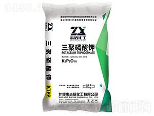 ���������KTPP-��(chu��ng)��(li��n)�S