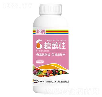 糖醇硅-邦調(diào)-勞恩邦柏