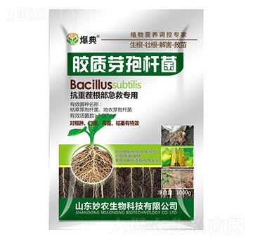 �z�|(zh��)ѿ�ߗU��-����-���r(n��ng)����