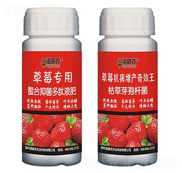 ��ݮ���������־�����Һ