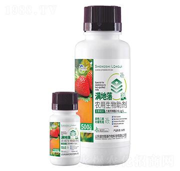 �M����-�r(n��ng)����������-ʢ��¡��