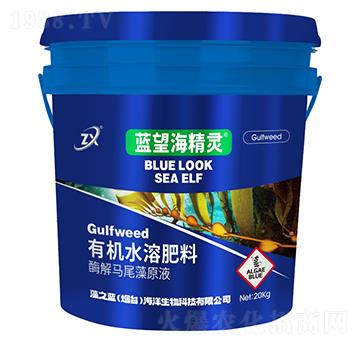 酶解馬尾藻原液-藍(lán)望海精靈-藻之藍(lán)