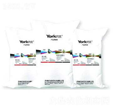 3%���x��w����+1%�׾����fù�`�w����-�_(k��i)��+������-�s���r(n��ng)��