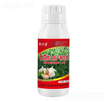 大蒜膨大高產精華素-郭師傅-立信生物