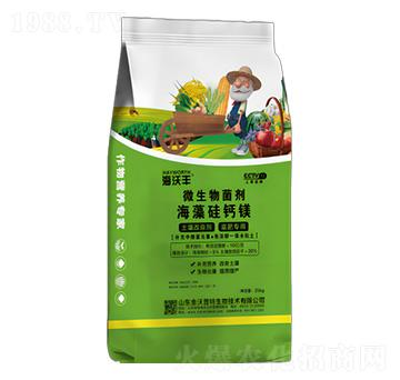 ΢�������-������}�V-�����S-�����_(d��)����