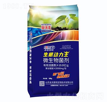 ΢�������-����������-�����S-�����_(d��)����