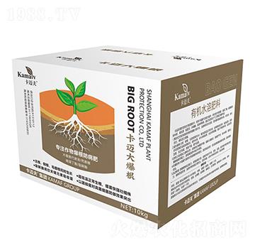 卡邁大爆根-卡邁夫