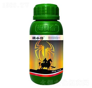 20%������-�MС��-������