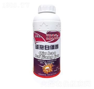 ���߰׽���-���طʘI(y��)