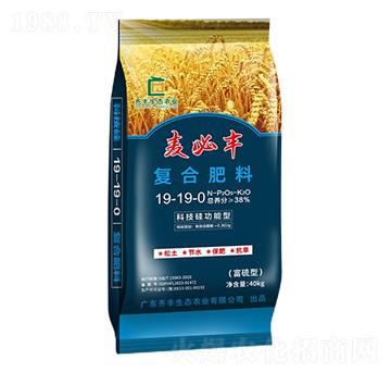 科技硅功能型復合肥料19-19-0-麥必豐-齊豐農(nóng)業(yè)
