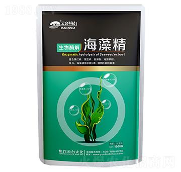 ���徫-���_(t��i)��