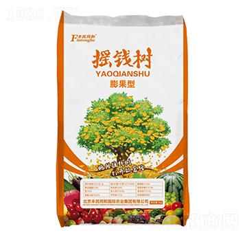 搖錢樹(shù)膨果型-和潤(rùn)農(nóng)業(yè)