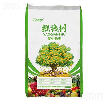 搖錢樹(shù)促生長(zhǎng)型-和潤(rùn)農(nóng)業(yè)