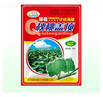 棉花秋桃蓋頂-金日盛-富源祥肥業(yè)