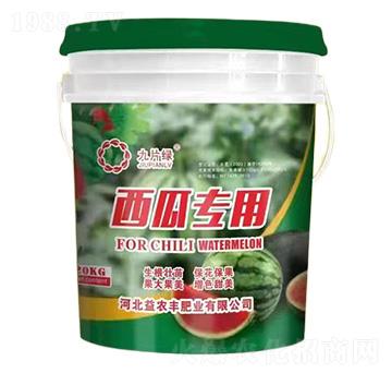 西瓜專用肥-九片綠-益農(nóng)豐肥業(yè)