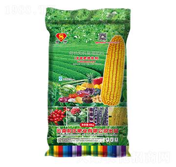 �ЙC(j��)�o�C(j��)��(f��)�����11-5-0-����-���f�ʘI(y��)