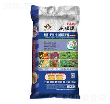 �ЙC(j��)-�o�C(j��)�����(f��)�����11-5-4-������-���f�ʘI(y��)