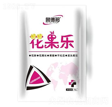 花果樂-魯?shù)掳? width=