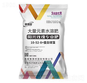 陽光玫瑰專用大量元素水溶肥料10-52-8+蛋白球藻-魯?shù)掳? width=
