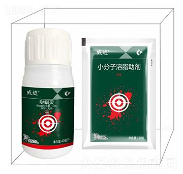 ���E�M�ϣ��ϣ�-����¡����