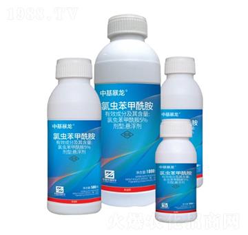 5%���x(ch��ng)���������Ҹ�����SC��-�л�����-�л�����ƌW(xu��)