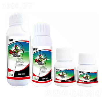 20%(li��n)�������x(ch��ng)��SC-����-һ�[�Ƽ�