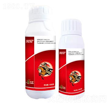 10%���x(ch��ng)����ʭ����SC-�[��-һ�[�Ƽ�