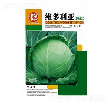 ���{�N��-�S������-���S�r(n��ng)�I(y��)