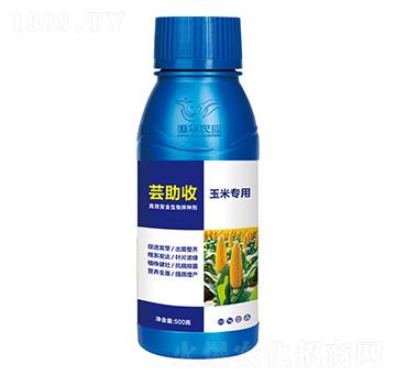 ���׌�(zhu��n)�ø�Ч�����N��-�|����-���A�r(n��ng)�I(y��)