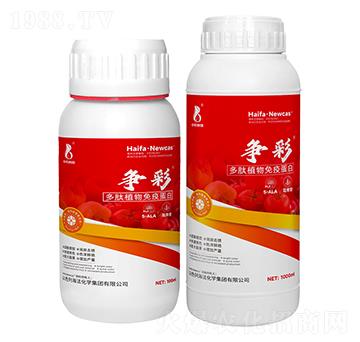 ����ֲ�����ߵ���-��(zh��ng)��-���r(n��ng)�W��