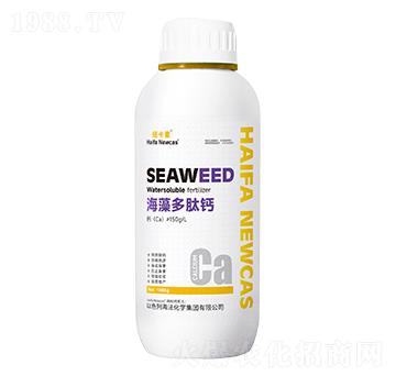 ��������}-�~����-���r(n��ng)�W��