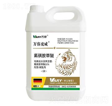 20%���ǰ�����-�f(w��n)�ݻ���-�f(w��n)��