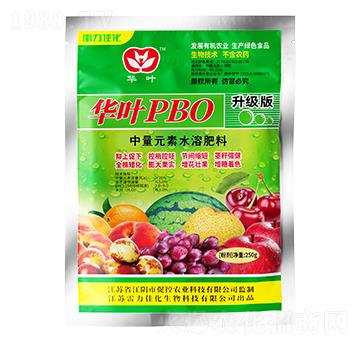 升級(jí)版華葉PBO-雷力佳化