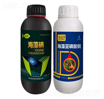 ���ٝ����ײ�1̖(h��o)-���A��