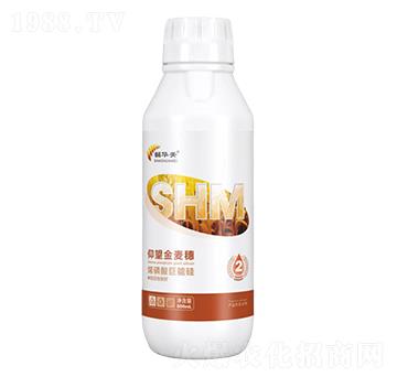 ϩ������ܹ�-����������-���A��