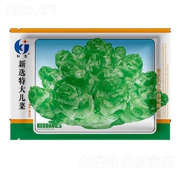 新選特大兒菜-科光種苗