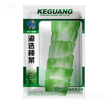 渝選棒菜-科光種苗