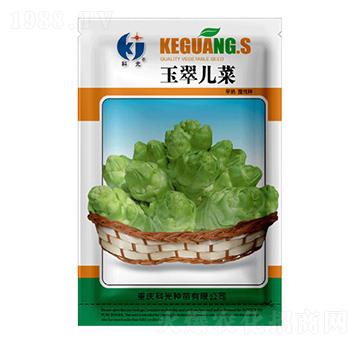 玉翠兒菜-科光種苗