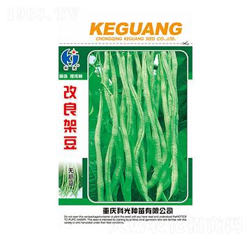 改良架豆-科光種苗