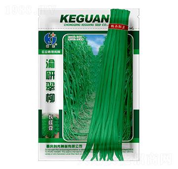 渝研翠柳-科光種苗