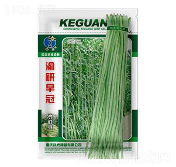 渝研早冠-科光種苗