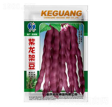 紫龍架豆-科光種苗