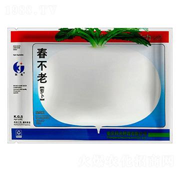 春不老蘿卜-科光種苗