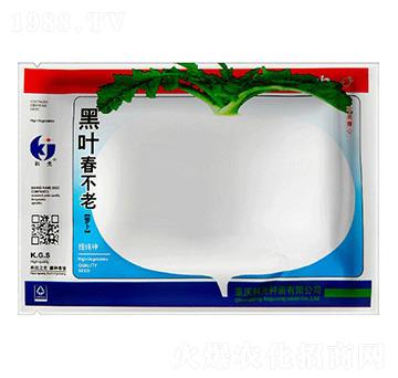 黑葉春不老蘿卜-科光種苗