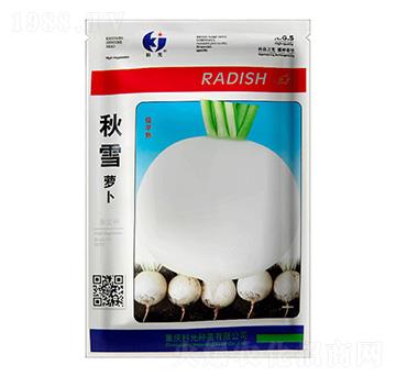 秋雪蘿卜-科光種苗