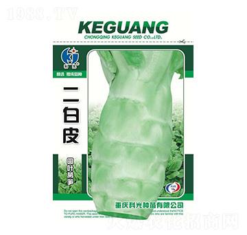 二白皮-科光種苗