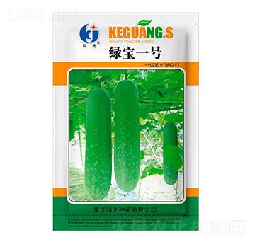 綠寶1號冬瓜-科光種苗
