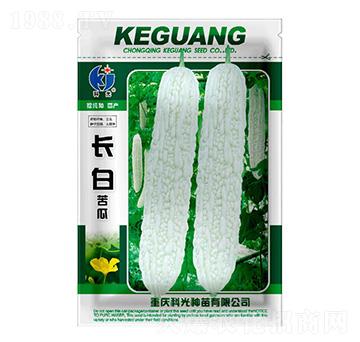 長白苦瓜-科光種苗
