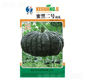 蜜黑二號-科光種苗